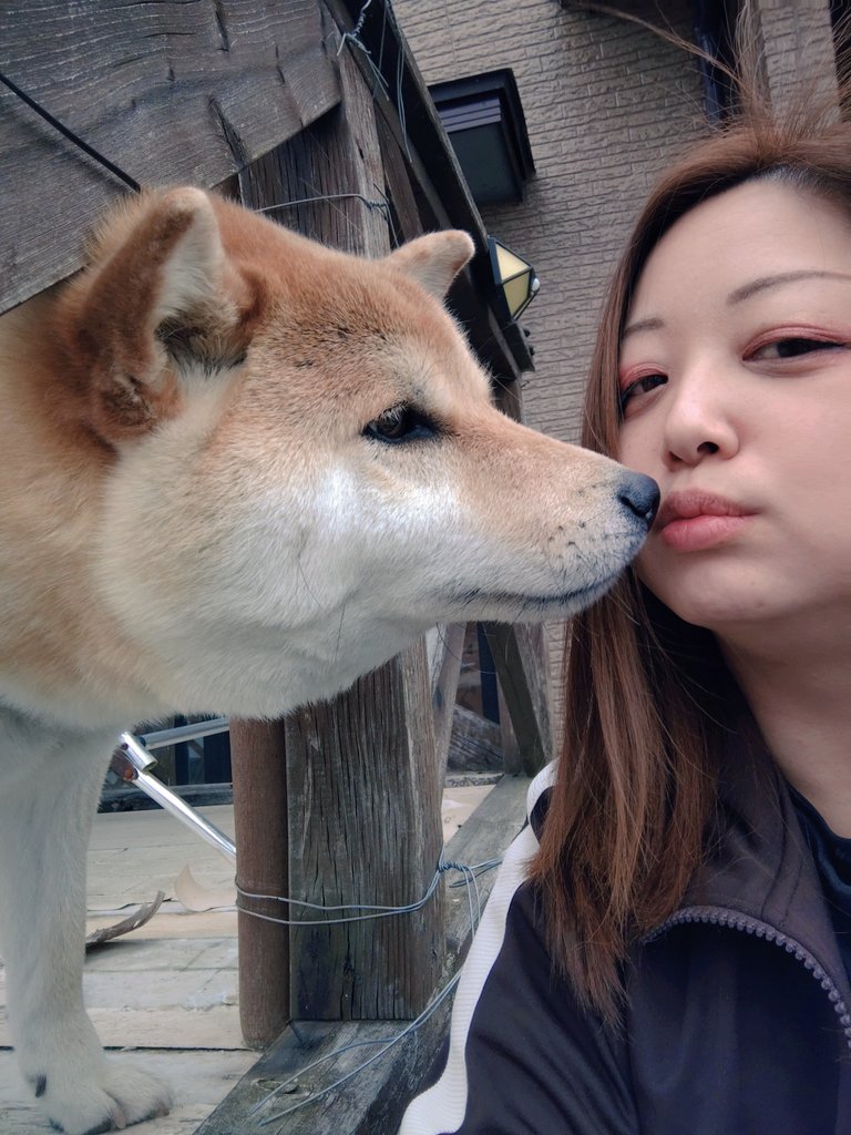 haru_4600_kk tweet media