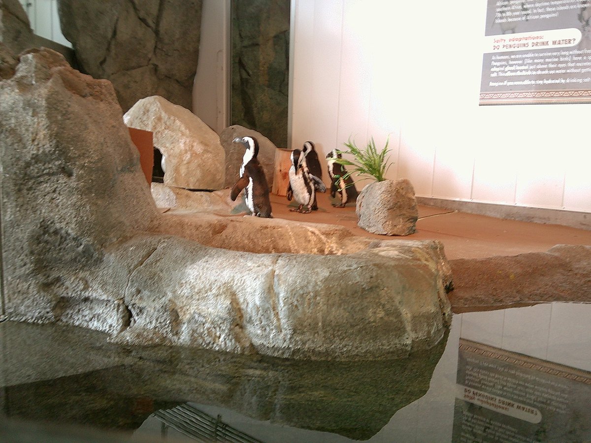 ROWAN ⋆⭒˚.⋆ tweet media