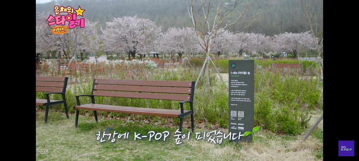 i-dleの森なんてあるの知らなかった！！