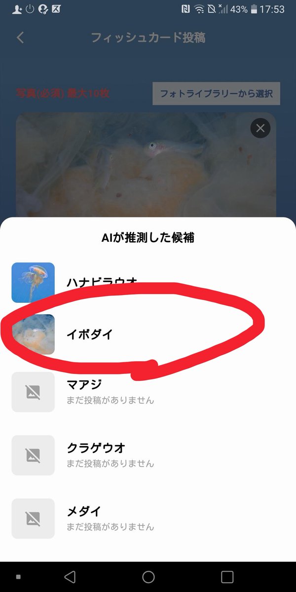 DivingPartner's tweet photo. AIが魚種を同定して、そのままダイビングログをあげられます‼️‼️

ずっと取り組んでたこの機能完成して嬉しい！まだリリースできてませんが、リリースされ次第お試しいただけるので是非！かなりの精度です😁 https://t.co/0aVJvpGA0U