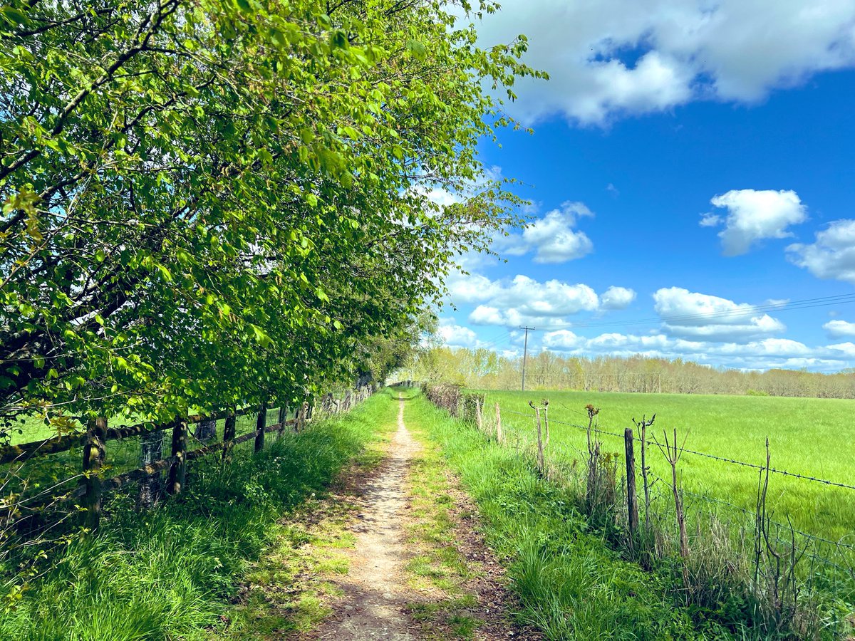 bir08967383's tweet image. Thursday Trails…..
#Trail