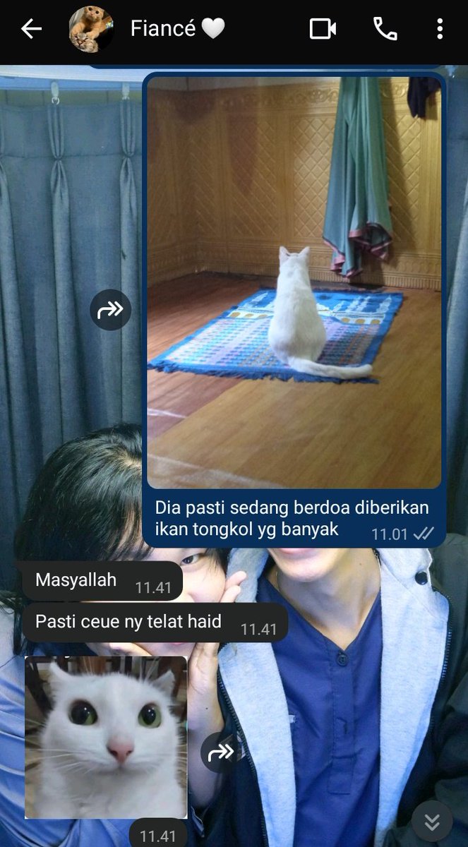 (⁠◕⁠ᴗ⁠◕⁠✿⁠) tweet media