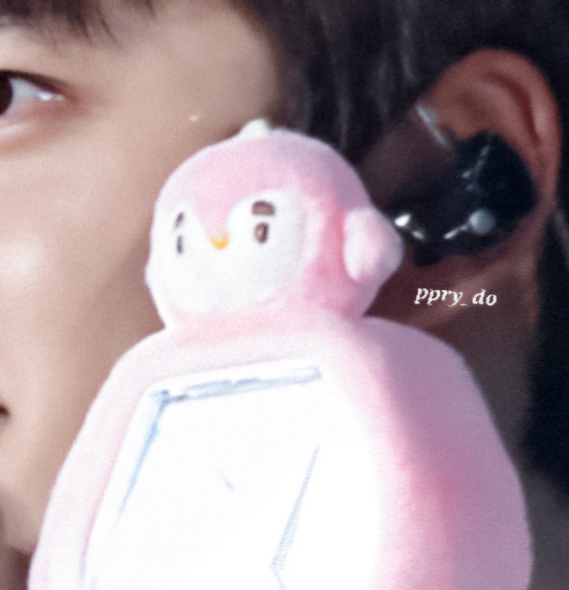 쁘리🐧 tweet media