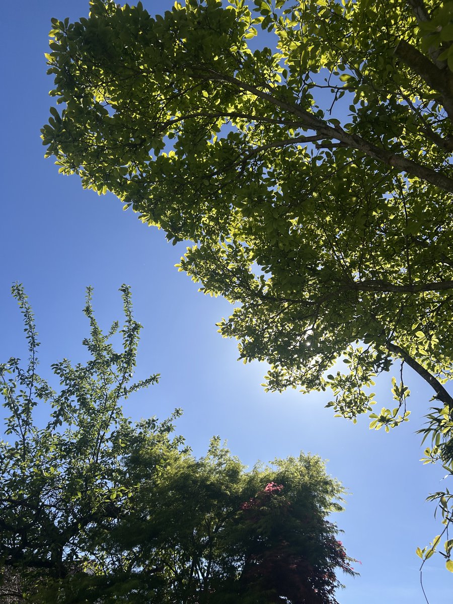 Prachtige blauwe hemel in een land waar het licht langzaam wordt gedoofd.