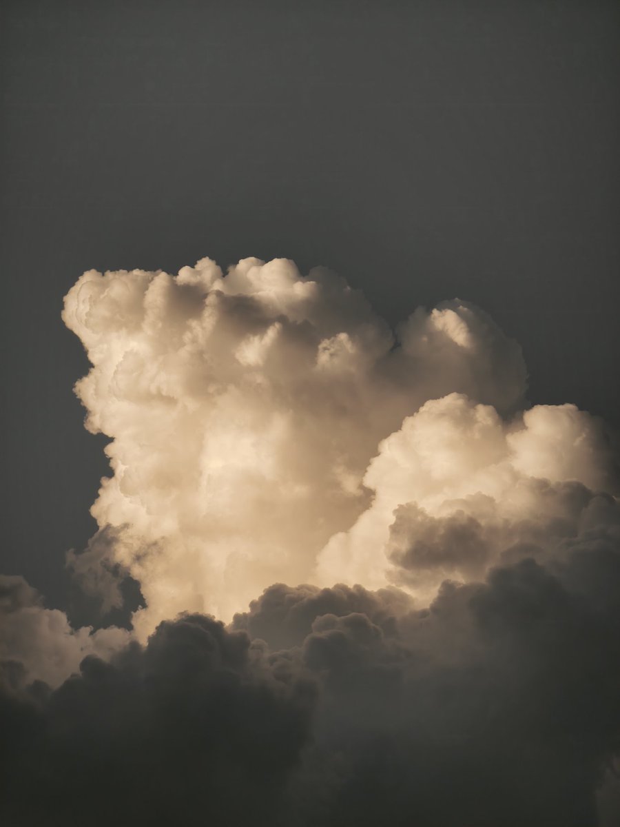 ruby⋆˚✿˖° tweet media