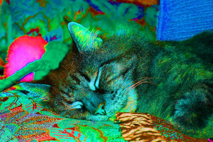 Art of the Day! "Turbo". Buy at: ArtPal.com/map?i=204591-2