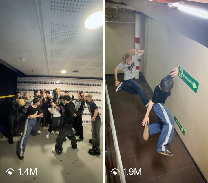 𓆩 하치 𓆪 tweet media