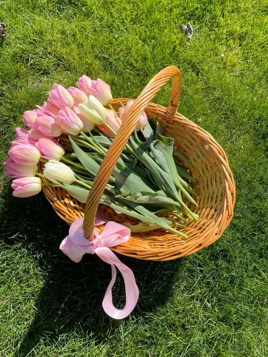 tutututututulip's tweet photo. https://t.co/gtm6GcejWt