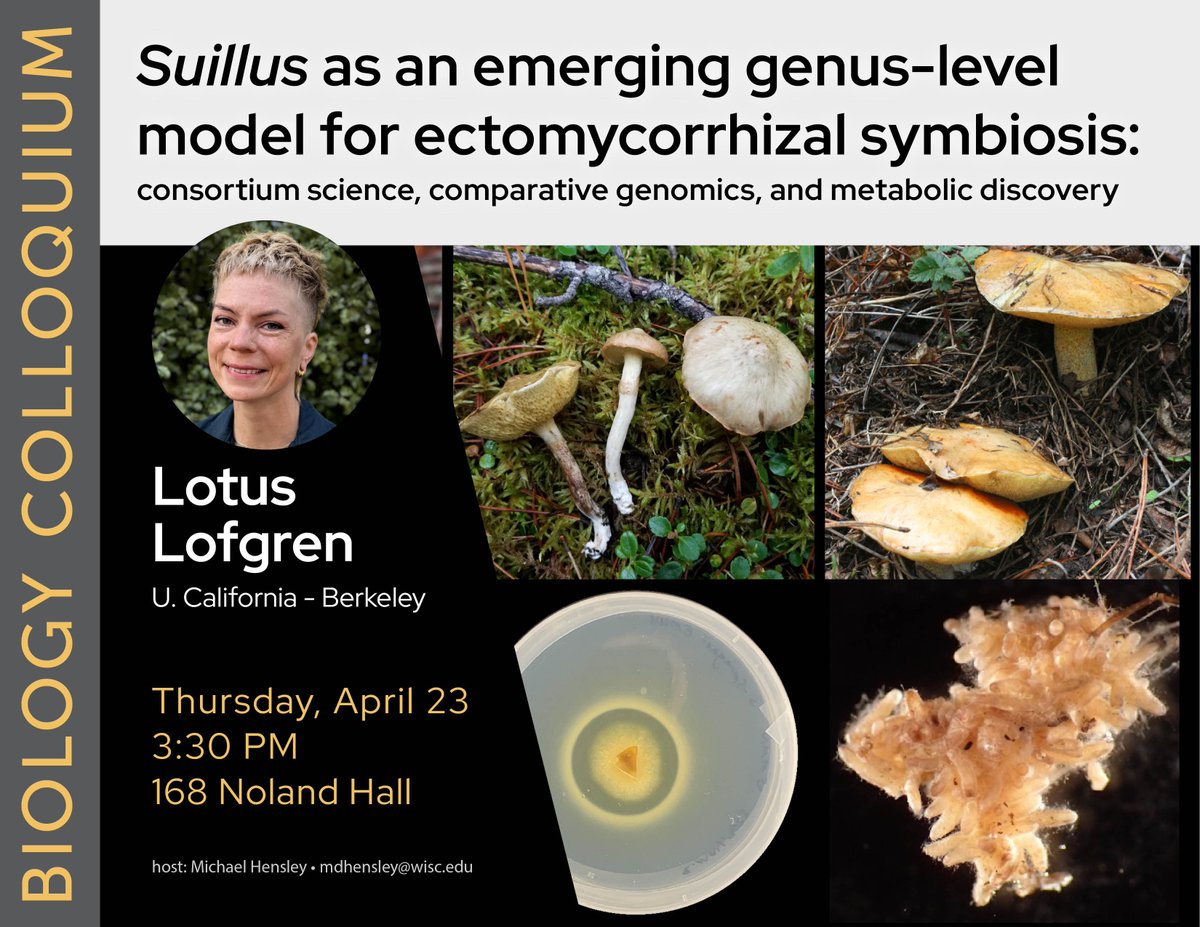 UWBioMajor's tweet photo. #BioBadgers! We hope to see you today at 3:30pm for the Biology Colloquium in 168 Noland Hall. @UWiBio will have Lotus Lofgren from the University of California-Berkeley presenting "Suillus as an emerging genus-level model for ecomycorrhizal symbiosis". https://t.co/heVopDL9N0