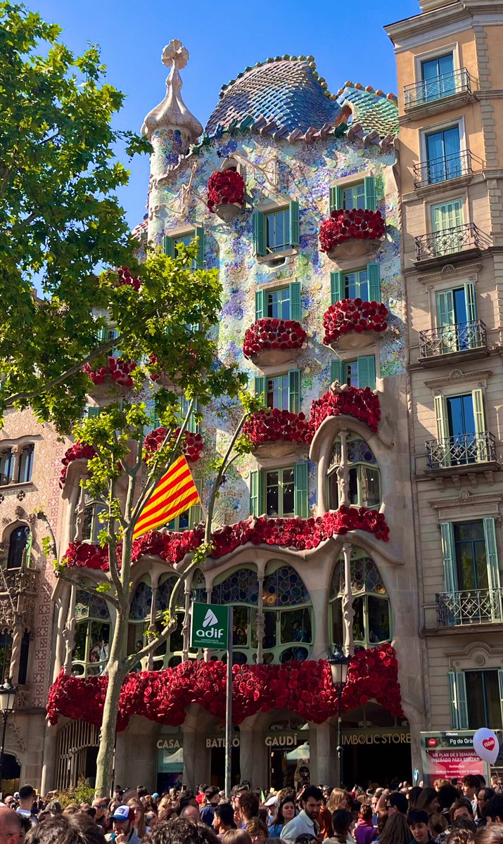 DevandBreakfast's tweet photo. Bona diada de Sant Jordi ❤️🐉📕🌹 https://t.co/sms1hVnnFL