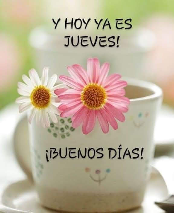 Monydelsol tweet media