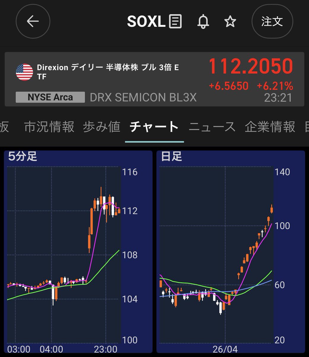 みくかぶ🦋専業投資家👼 tweet media