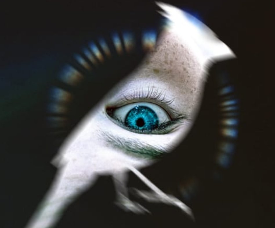 OVERCLASSIFIED tweet media