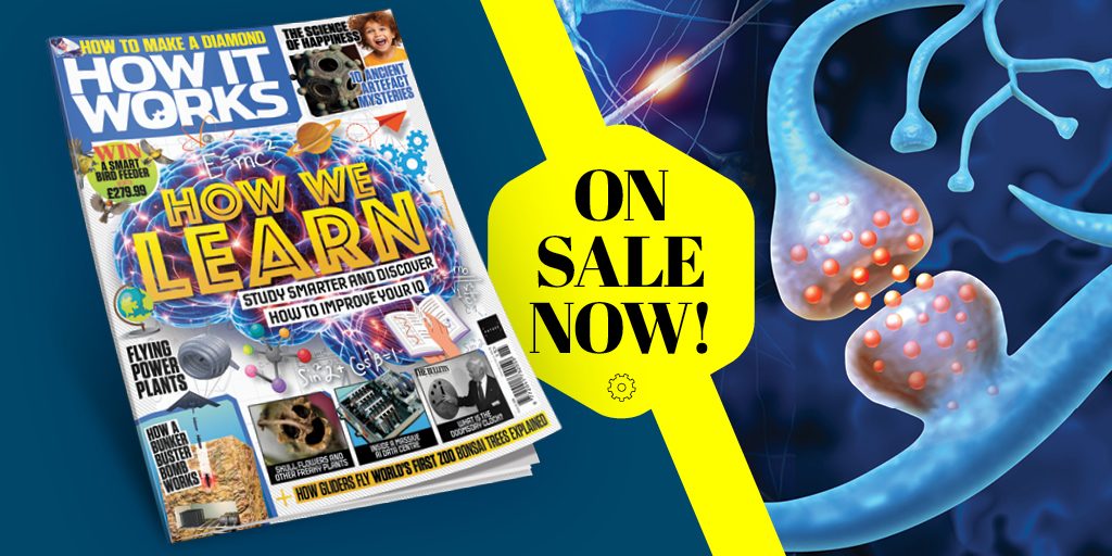 HowItWorksmag's tweet image. 🧠 Issue 215 is on sale now!: how-it-works-magazine.visitlink.me/1o8md0

Inside:
⚙️ How we learn
⚙️ The science of #happiness
⚙️ How to make a #diamond
⚙️ And much more!

📚 Get your first 3 issues of How It Works magazine for just £5 ($5): how-it-works-magazine.visitlink.me/LxvmUA