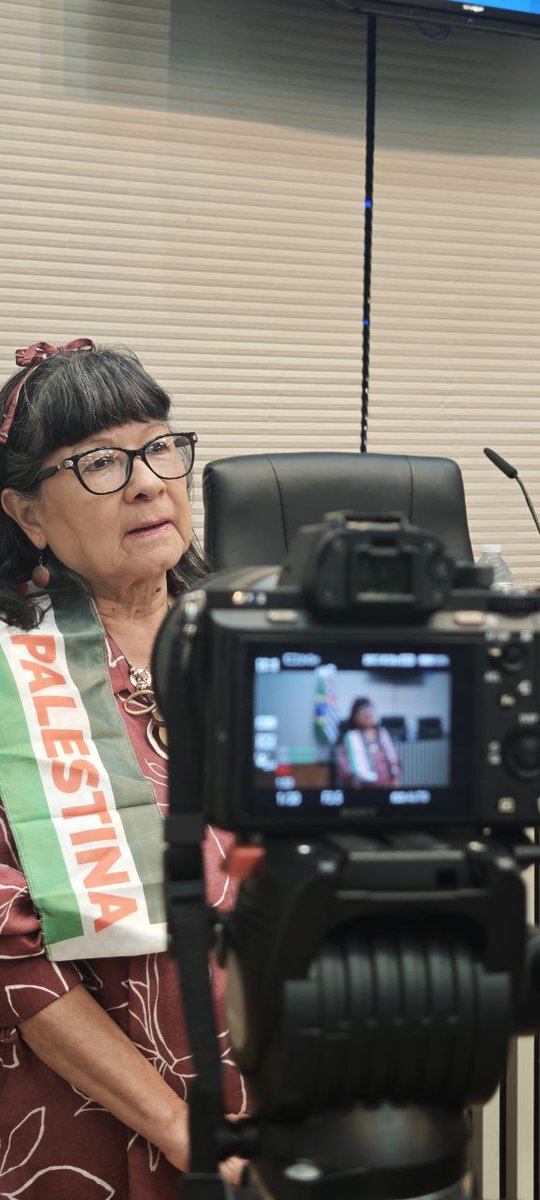 juliaperie's tweet photo. En la @camaradeputados de San Pablo junto a @leticiachagassp e integrantes del @foropalestino en el día del prisionero palestino denunciamos la injusta persecución de niños, mujeres y jóvenes que luchan por una #palestinalibre 
@Observatorio_FV @SachaWila @gusacarbonell https://t.co/QFdnwGznOa