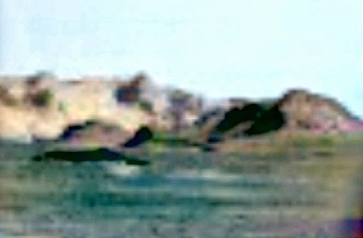 MarsBeings tweet picture