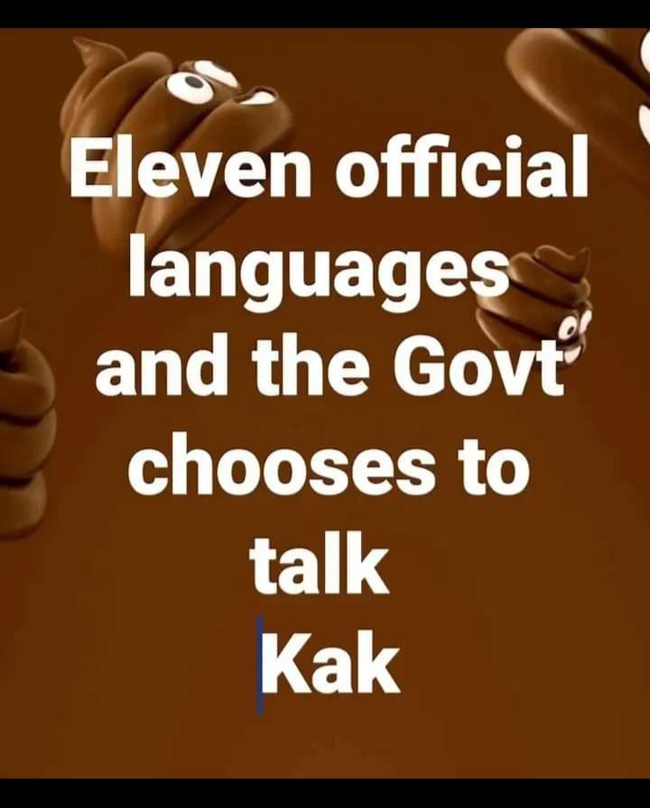 Mrs Fensham 🦖🦕🐲 tweet media