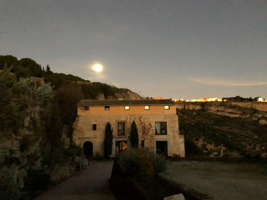 CharryTV Ronda tweet media