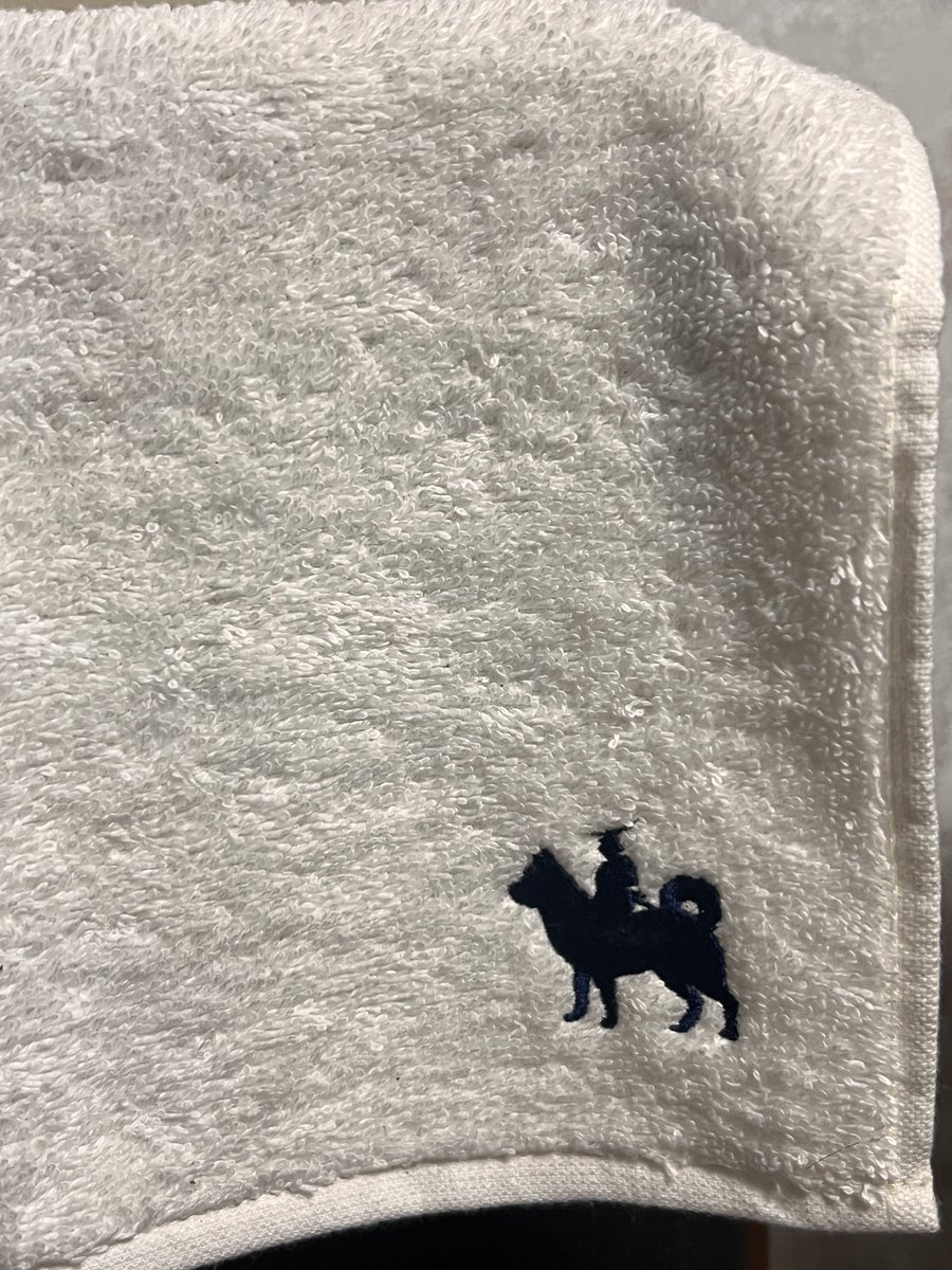 Dawietter's tweet photo. と見せかけた🐕 https://t.co/ZQHI0Im92Z