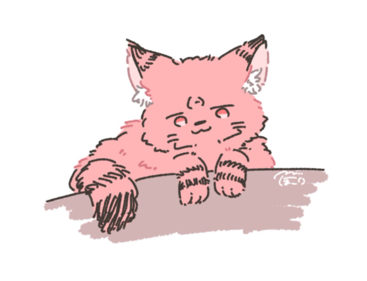 sg2dcxByhsW8m1G's tweet photo. 見下ろしすくにゃん🐱 https://t.co/lT8QJvw0Vg
