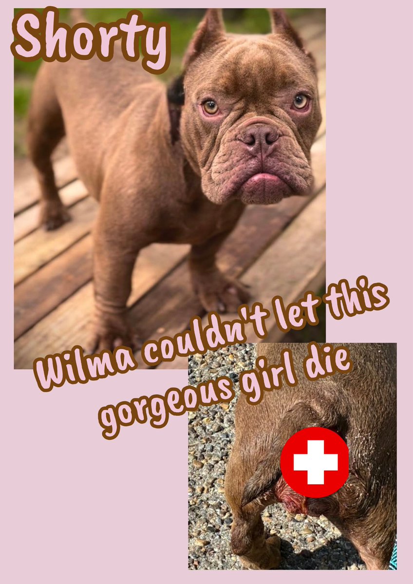 RoCo🇬🇧God Save The King🇬🇧 tweet media