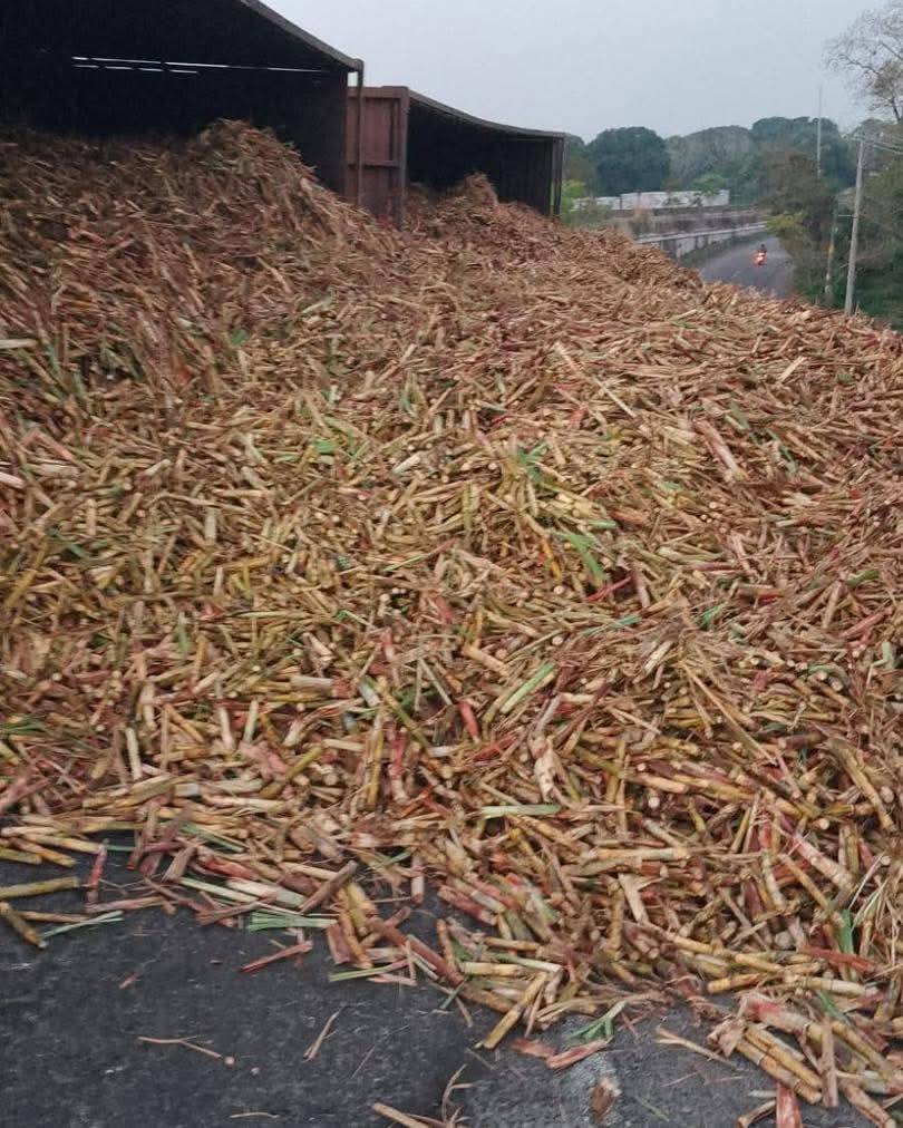 ELPINERO's tweet image. #FOTOREPORTE 📸 |  #Veracruz: Vuelca camión cañero en #Cuitláhuac; no hubo lesionados

➡️ La mañana de este jueces se registró la volcadura de un camión cargado de caña sobre la carretera federal #Córdoba–#Veracruz, a la altura del kilómetro 28, en el puente de la UTCV, en el