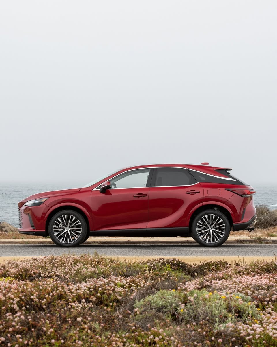 EarnhardtLexus's tweet photo. Discover the Lexus Hybrid &amp; Electric lineup, where refined design, cutting-edge innovation, and impressive efficiency come together to reduce emissions without compromising performance or comfort. It’s a more intelligent way to elevate every drive. ⚡

➡️: https://t.co/PqDoDmHOW7 https://t.co/1OYNq0lw25
