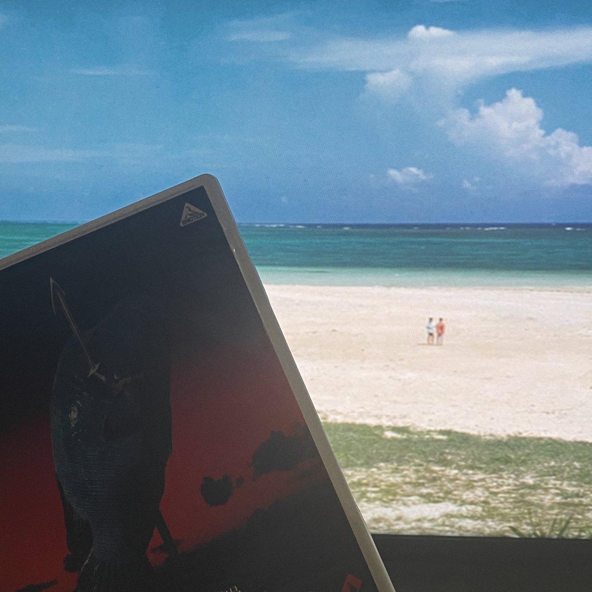 𝐘𝐔𝐑!𝐀 tweet media