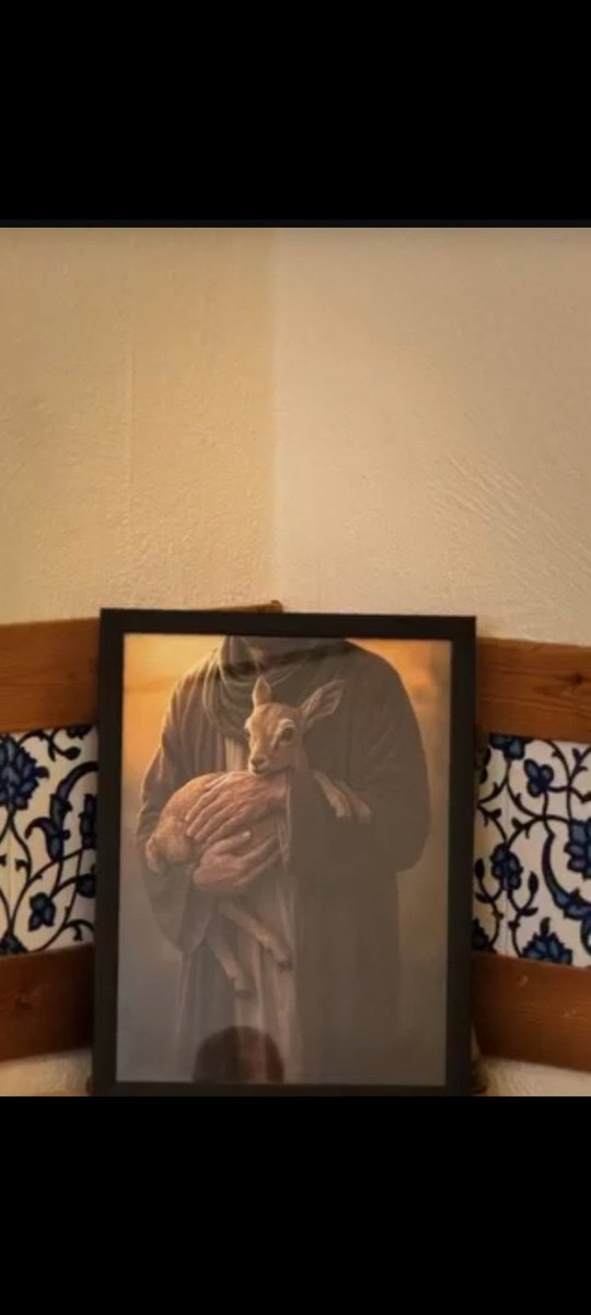 لایق وصل تو که من نیستم
#ایران_امام_رضا
#باب_الرضا