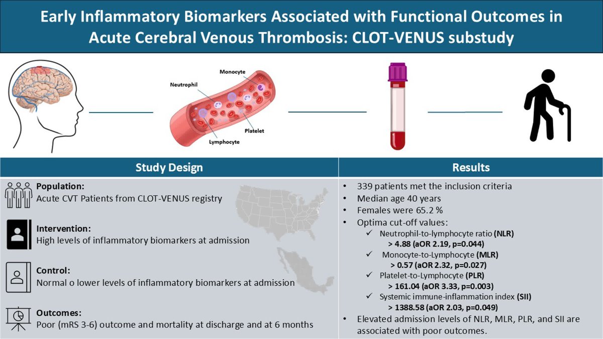 StrokeAHA_ASA's tweet image. Serum inflammatory biomarkers may aid early risk stratification in patients with acute cerebral venous sinus thrombosis. #stroke ahajrnls.org/48kNnbX

@ashabanmd @mili_galecio @AaronCalienes @LeonardoCruz_C @AndersonBr17 @CerebrovascLab