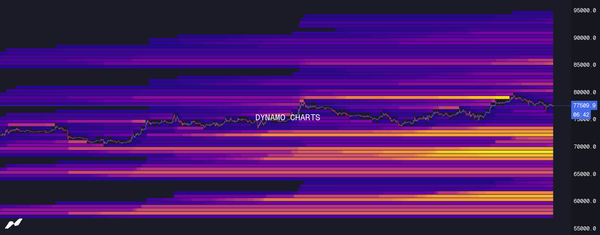 DYNAMO tweet media
