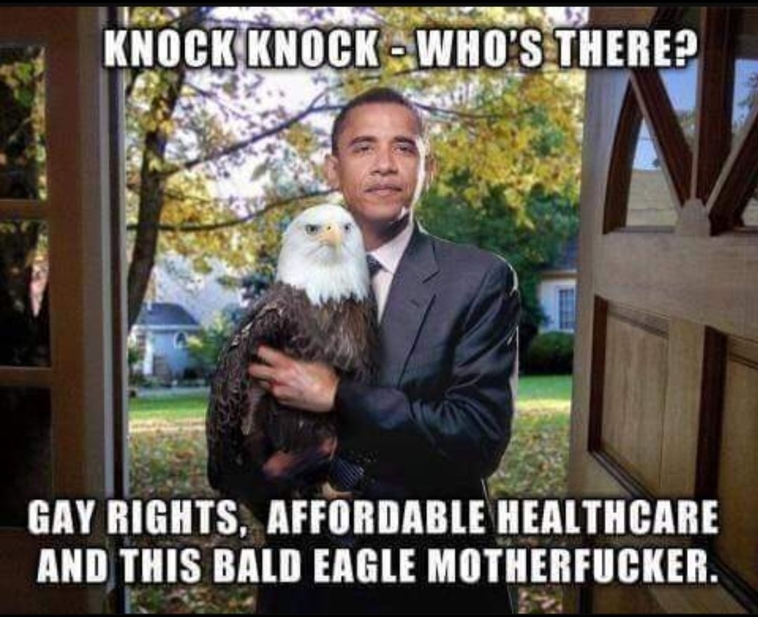 your_bugs's tweet photo. @cjoan223817 @FreshMortadella @KushDesai47 @POTUS 💪💪💪💪 https://t.co/0ZSb3hevDm