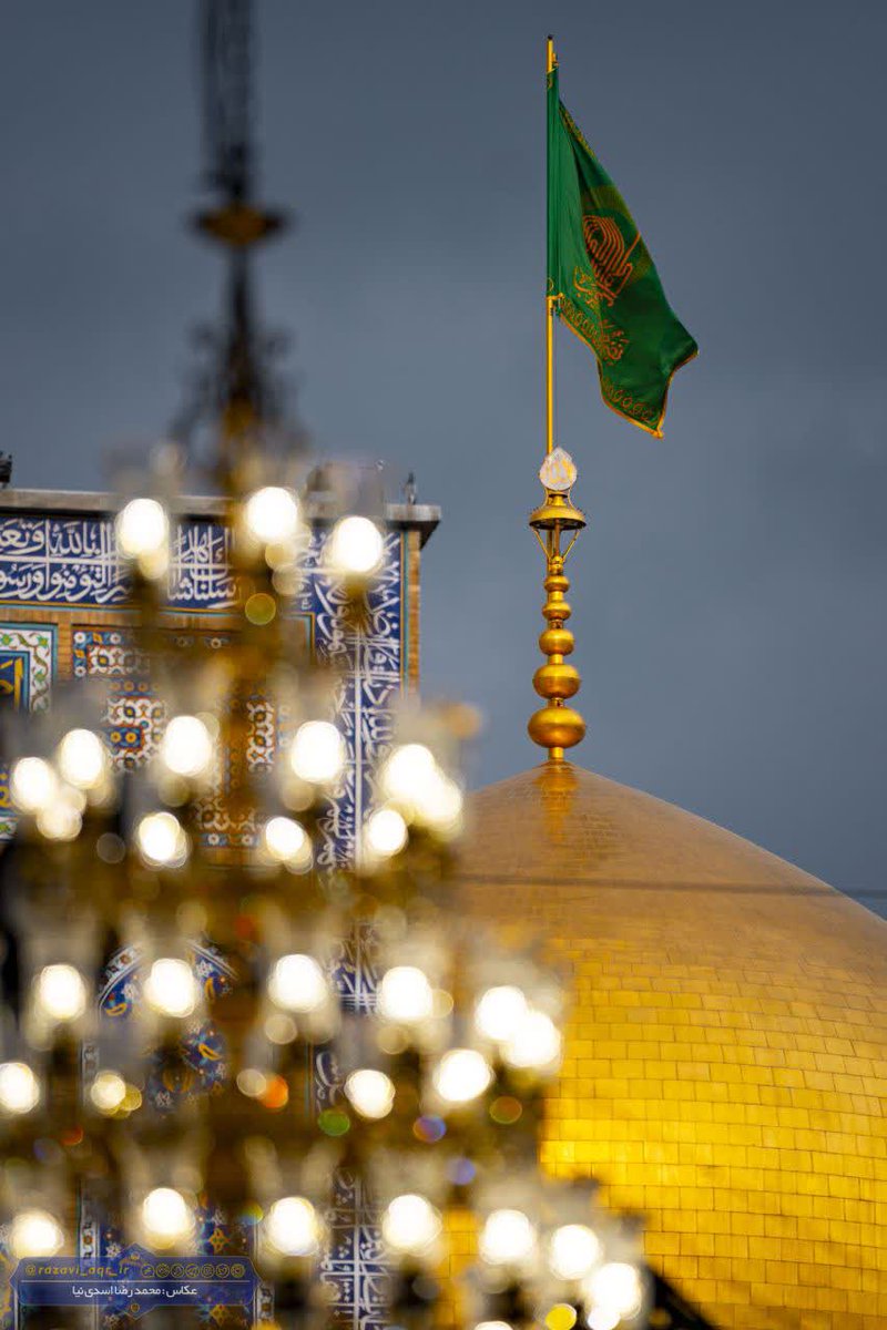 سیده زهرا tweet media