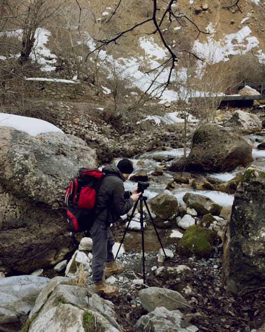 Abigail Castillo tweet media