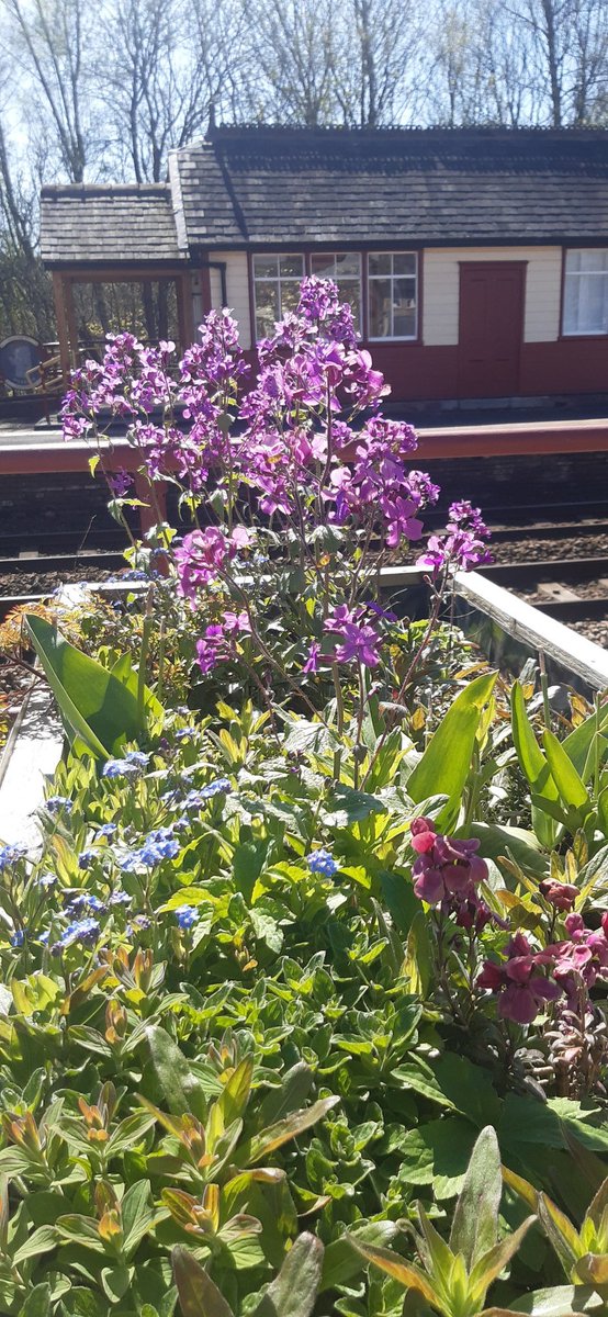 Tyne Valley Community Rail Partnership tweet media