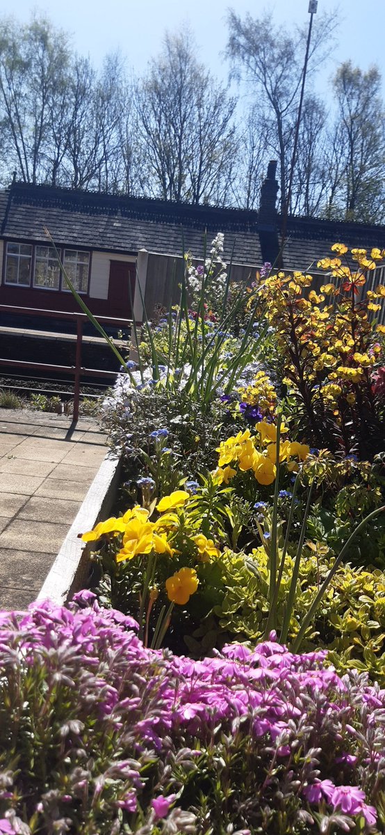 Tyne Valley Community Rail Partnership tweet media