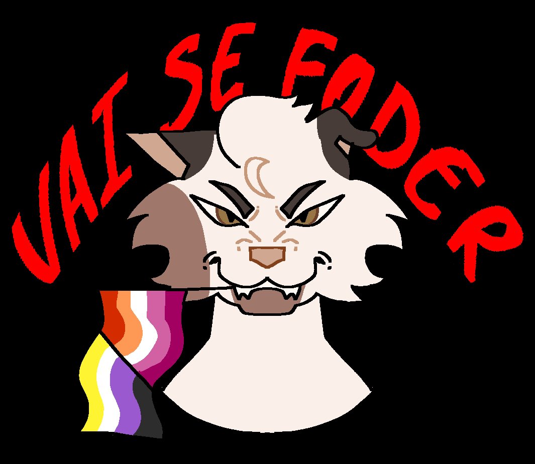 gato sapata 💬 tweet media