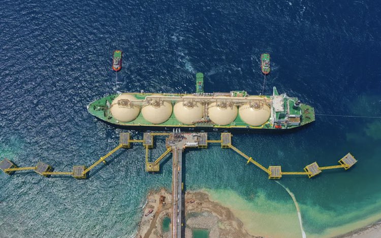 Tuoi Tre News tweet media