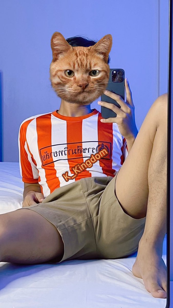 K_Kingdom tweet media