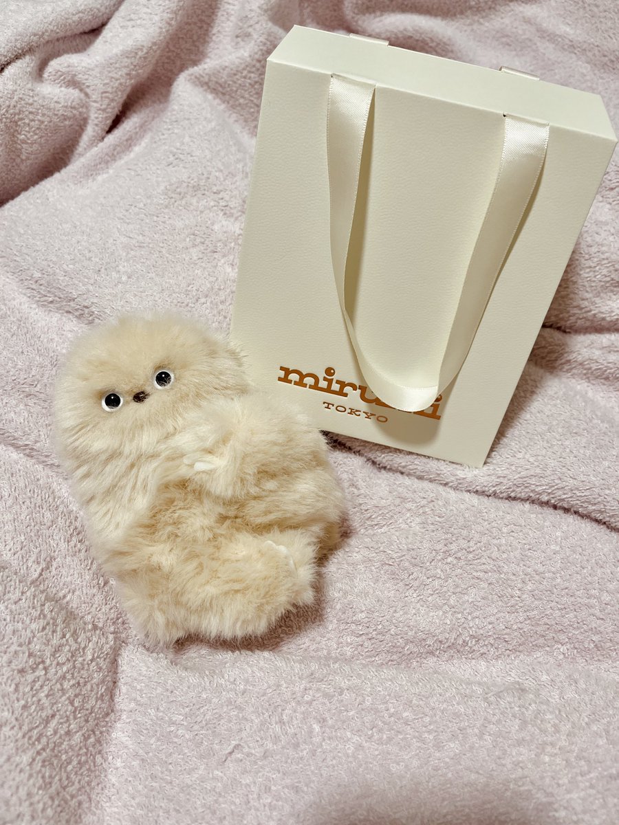 gigigensui's tweet photo. かわいかったから…… https://t.co/uD0UxShp8I