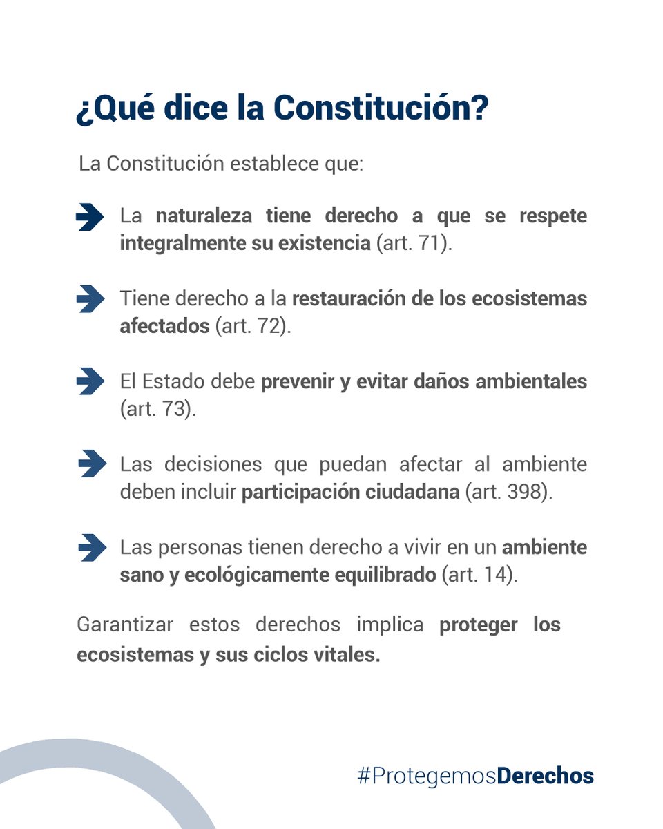 CorteConstEcu's tweet photo. Cuidar la Madre Tierra es proteger la vida y el futuro ✨ https://t.co/9ksffwpsbf