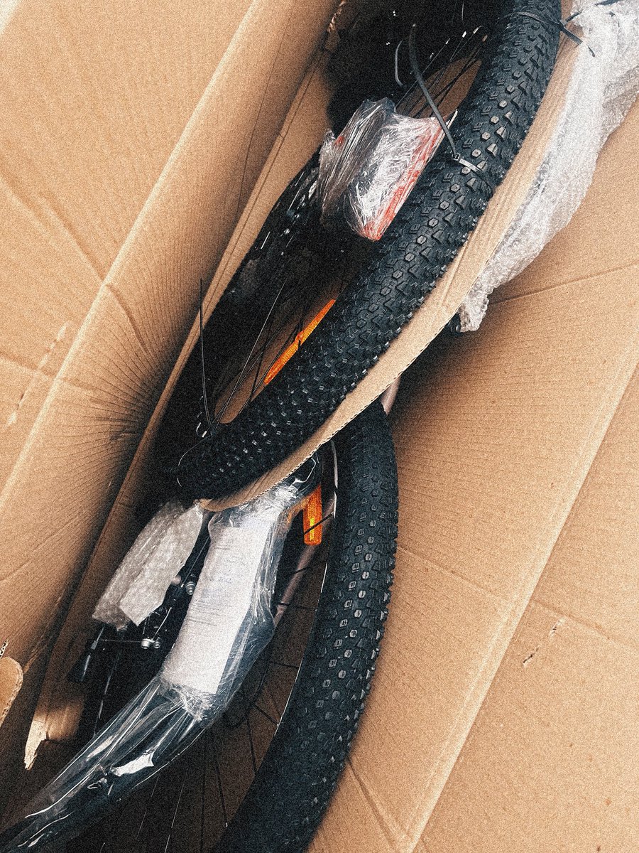 цвіт граната tweet media