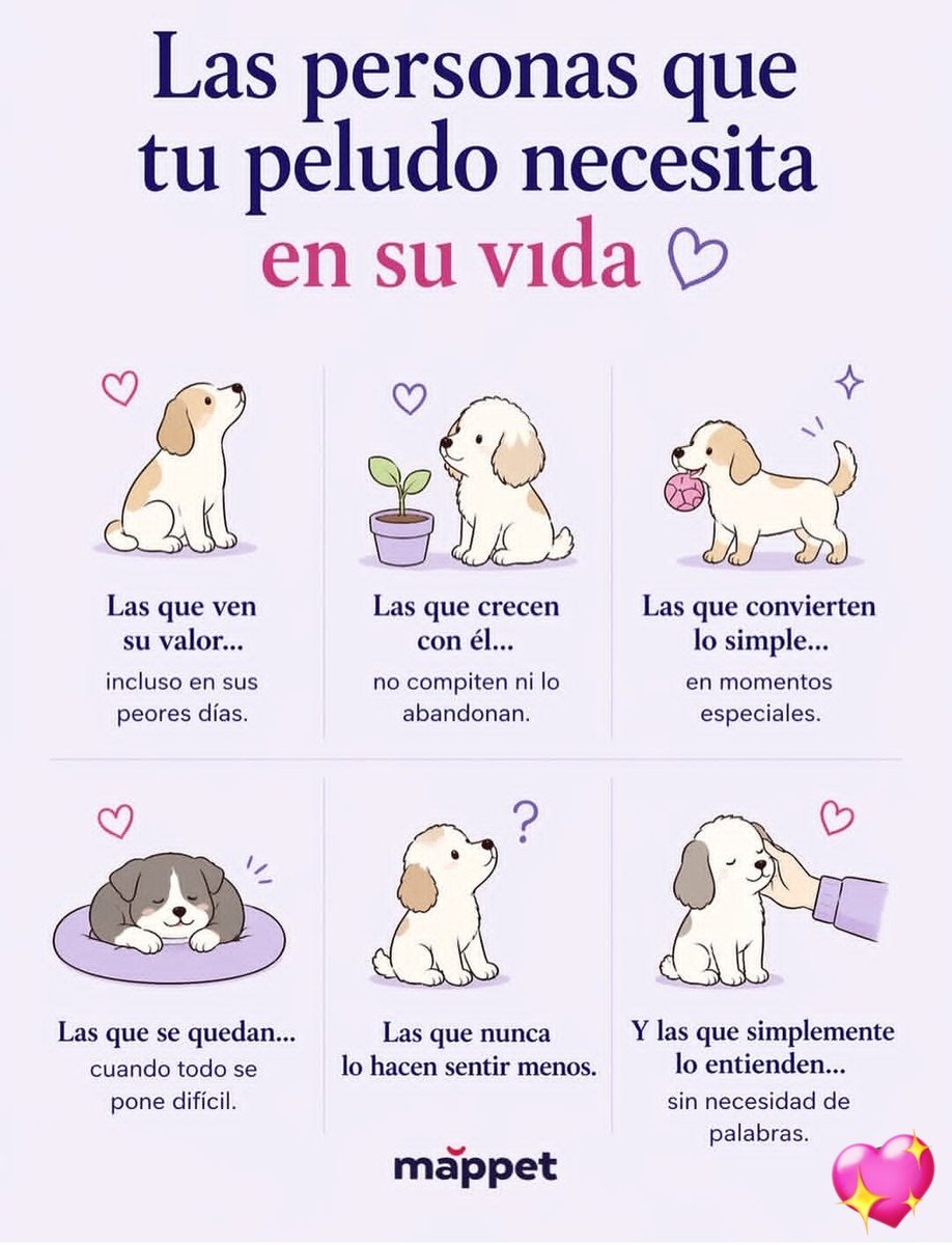 giovanandrea's tweet image. Es familia 💖🐾🐕✨ #DogLover ☀️
