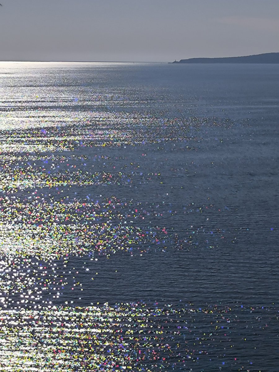 sun ☀️ tweet media