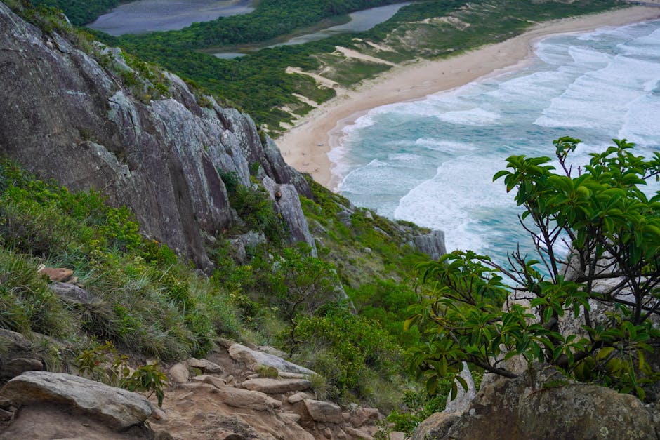 Andrew Sparks tweet media