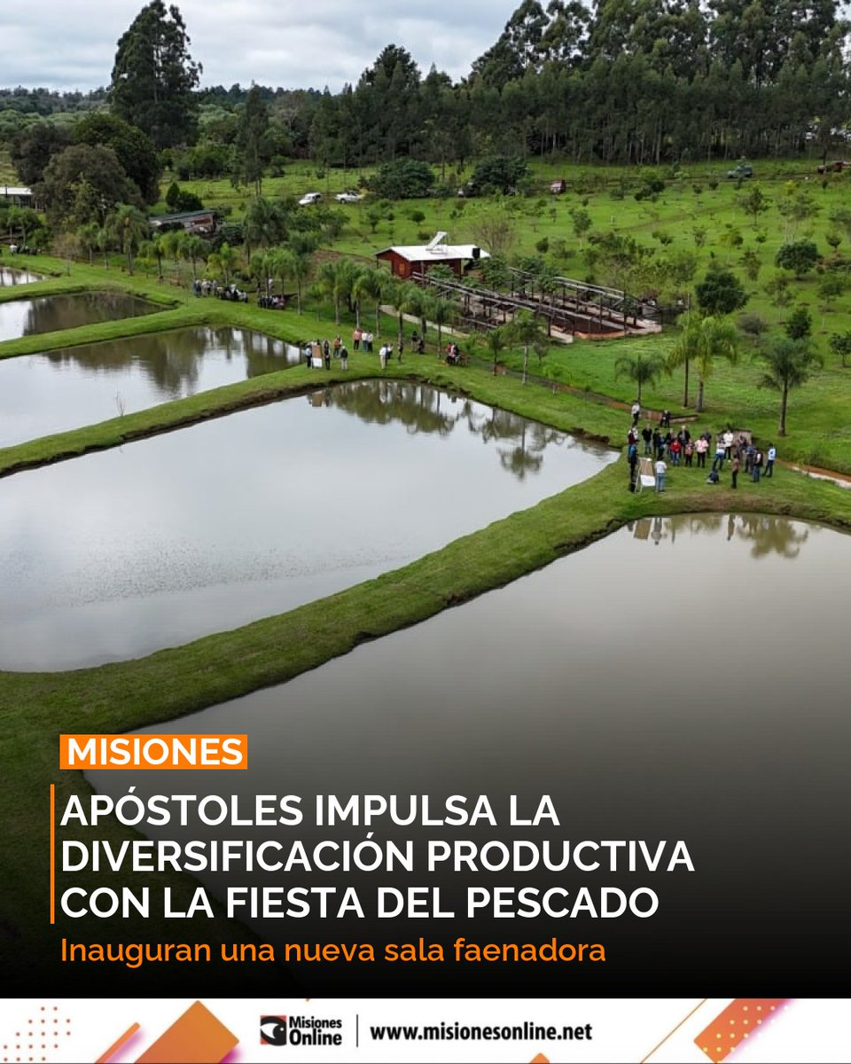 misionesonline's tweet image. Apóstoles impulsa la economía 📈 con su 2da Fiesta del Pescado y una nueva sala faenadora. 🐟 Esta infraestructura clave busca industrializar la producción local y diversificar la zona sur.
misionesonline.net/2026/04/23/fie…
#Apostoles #Misiones #Produccion #Economia