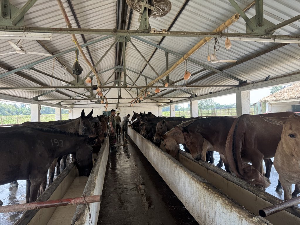 Mrinal_MLA's tweet image. #8pm : #Discipline: The Backbone of the Indian Army .
In the Indian Army, discipline isn’t taught. It’s lived.
It starts at 4:30 AM. The same time, every day. No snooze button. From the parade ground to the battlefield, discipline is what turns ordinary men and women into a force