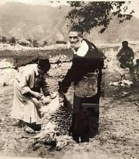 Abdellatif el tweet media