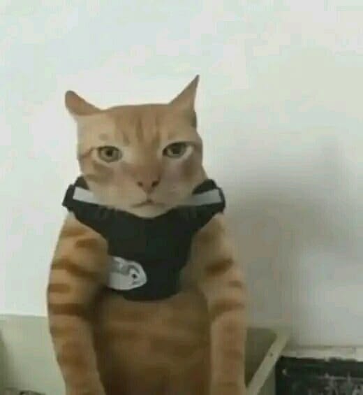 vrcl_89's tweet image. I'll tell you 2: Deine Mutter