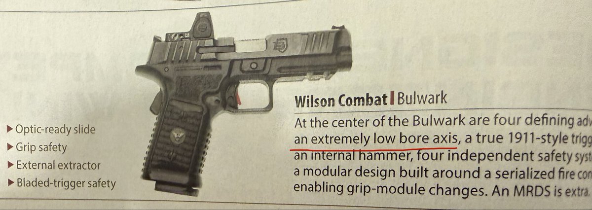 Call me crazy, but this Bulwark from <a href="/WilsonCombat/">Wilson Combat</a> does not scream “extremely low bore axis.”